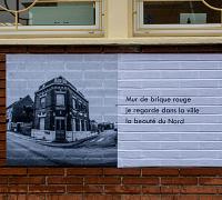 haiku-aniche-12.jpg