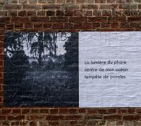 haiku-aniche-3.jpg