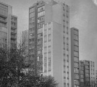 ddi-bellevue008.jpg