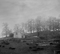 ddi-massiac041.jpg