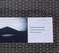 haiku-aniche-10-2.jpg
