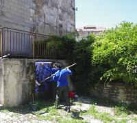 imgp4675.jpg