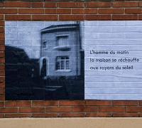 haiku-aniche-2.jpg