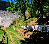 img_8031.jpg