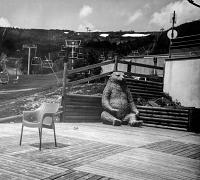 ddi_horizons084.jpg