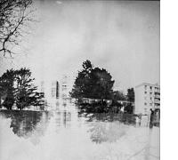 ste_nope_-bellevue018.jpg