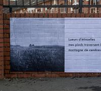 haiku-aniche-4.jpg