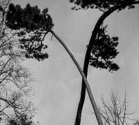 ddi-me_rignac-2021035.jpg